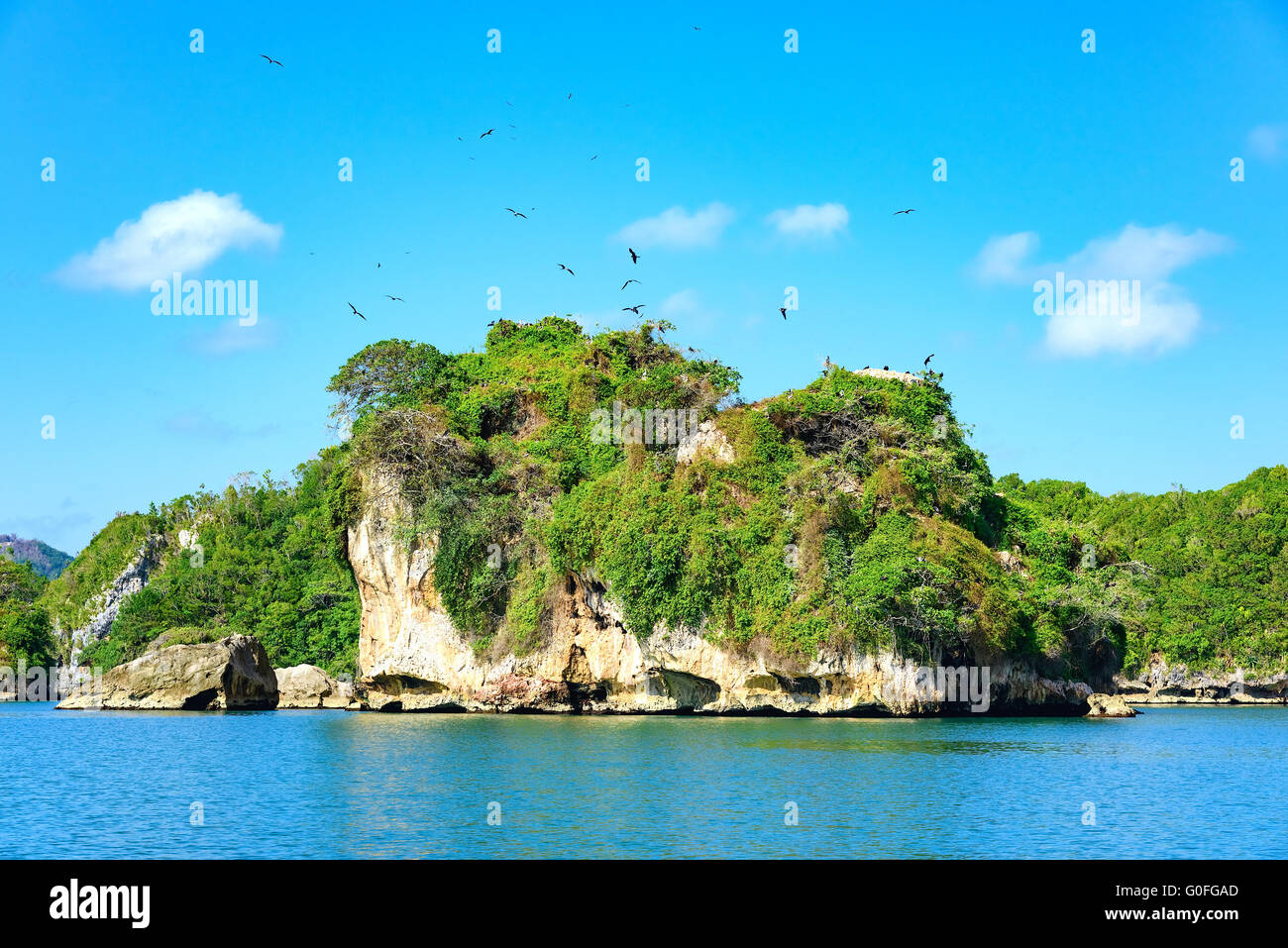 the island green trees in the ocean blue water Stock Photo - Alamy