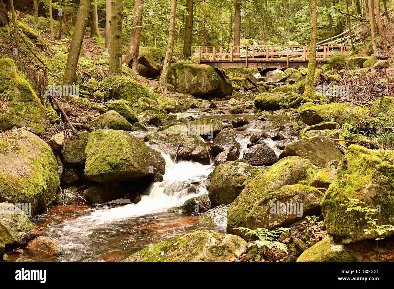 the River Ilse at Ilsenburg in the Harz National Park at the foot of the Brocken Stock Photo