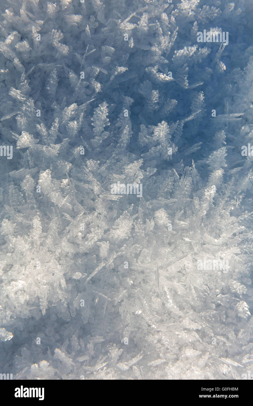 A landscape of ice needles Stock Photo