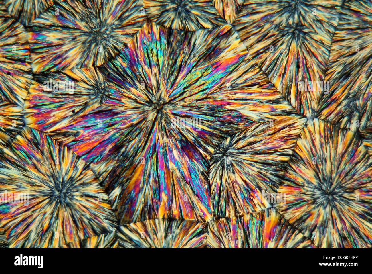 Scientist microscope nerd hi-res stock photography and images - Alamy