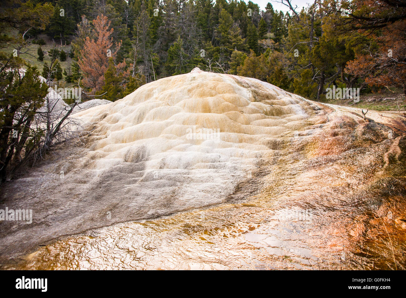 Close Up of Yellowstone Thermal Feature Stock Photo