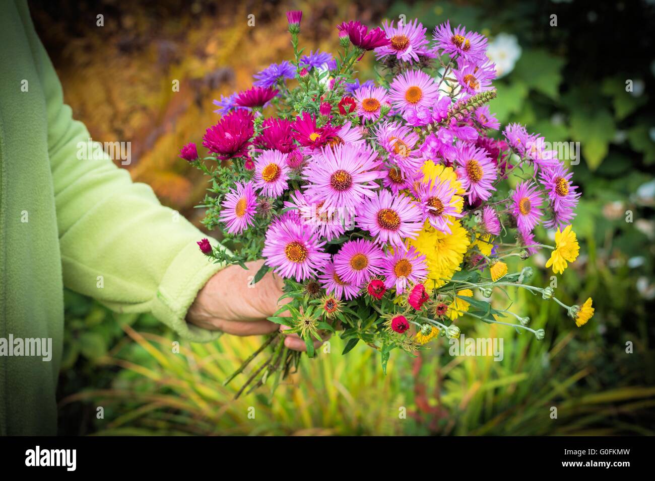 Late summer bouquet hi-res stock photography and images - Alamy