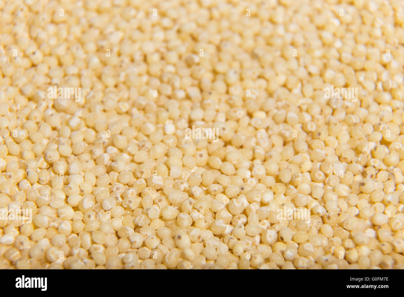 Uncooked millet cereal closeup macro Stock Photo Alamy