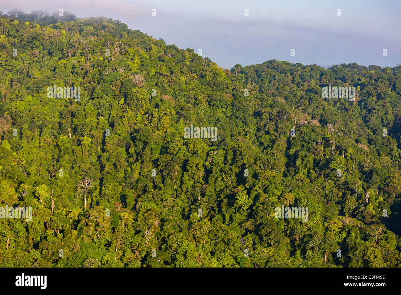 CORCOVADO NATIONAL PARK, COSTA RICA - Aerial of rain forest tree canopy and mountains, Osa Peninsula. Stock Photo