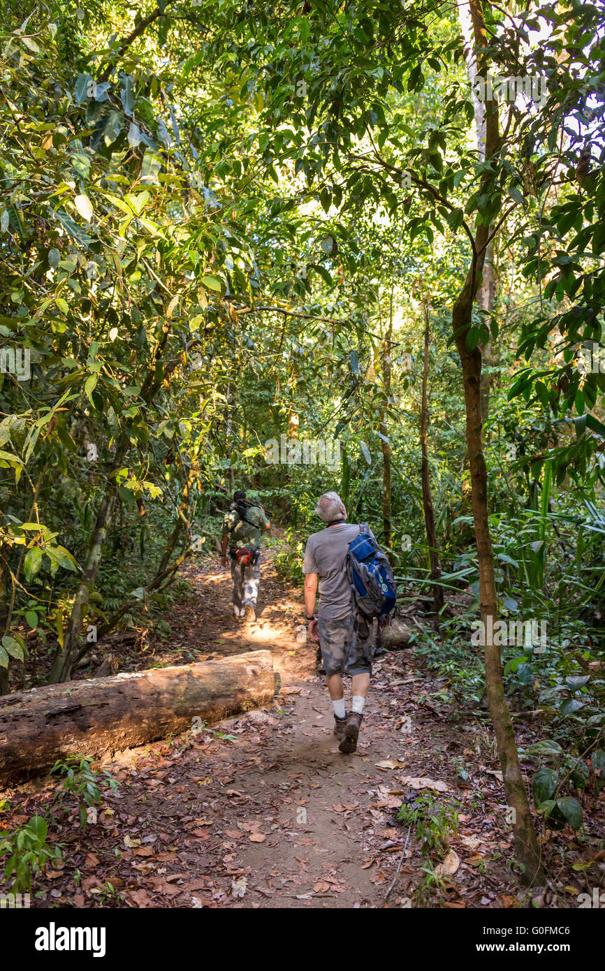 CORCOVADO NATIONAL PARK, COSTA RICA - Hikers on trail in rain forest, Osa Peninsula. Stock Photo
