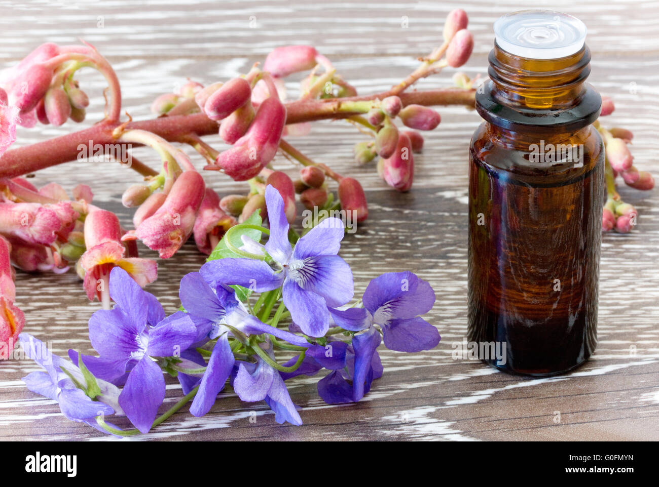 Bach flower remedies of red chestnut and violets Stock Photo