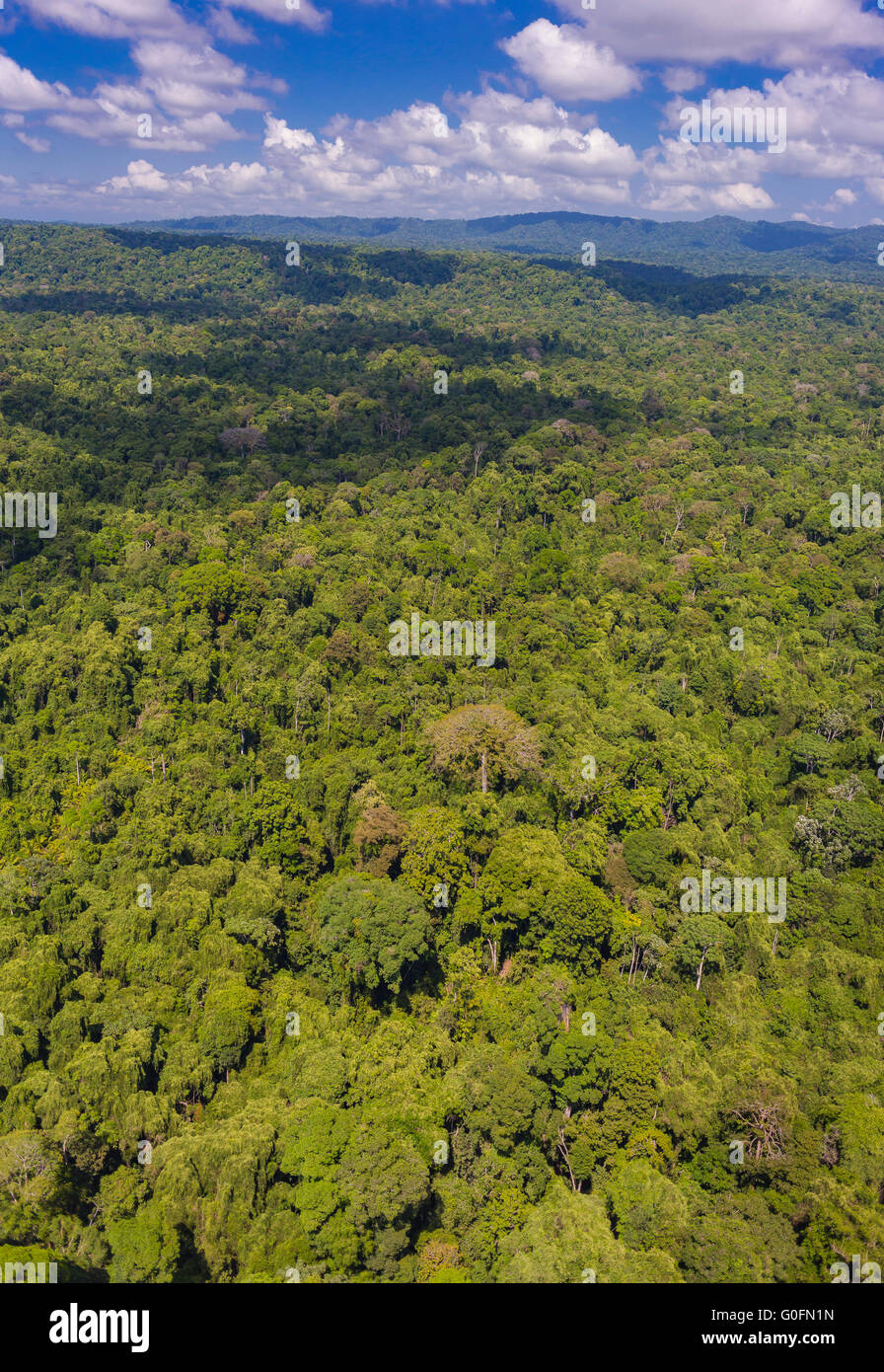 CORCOVADO NATIONAL PARK, COSTA RICA - Aerial of rain forest tree canopy, Osa Peninsula. Stock Photo