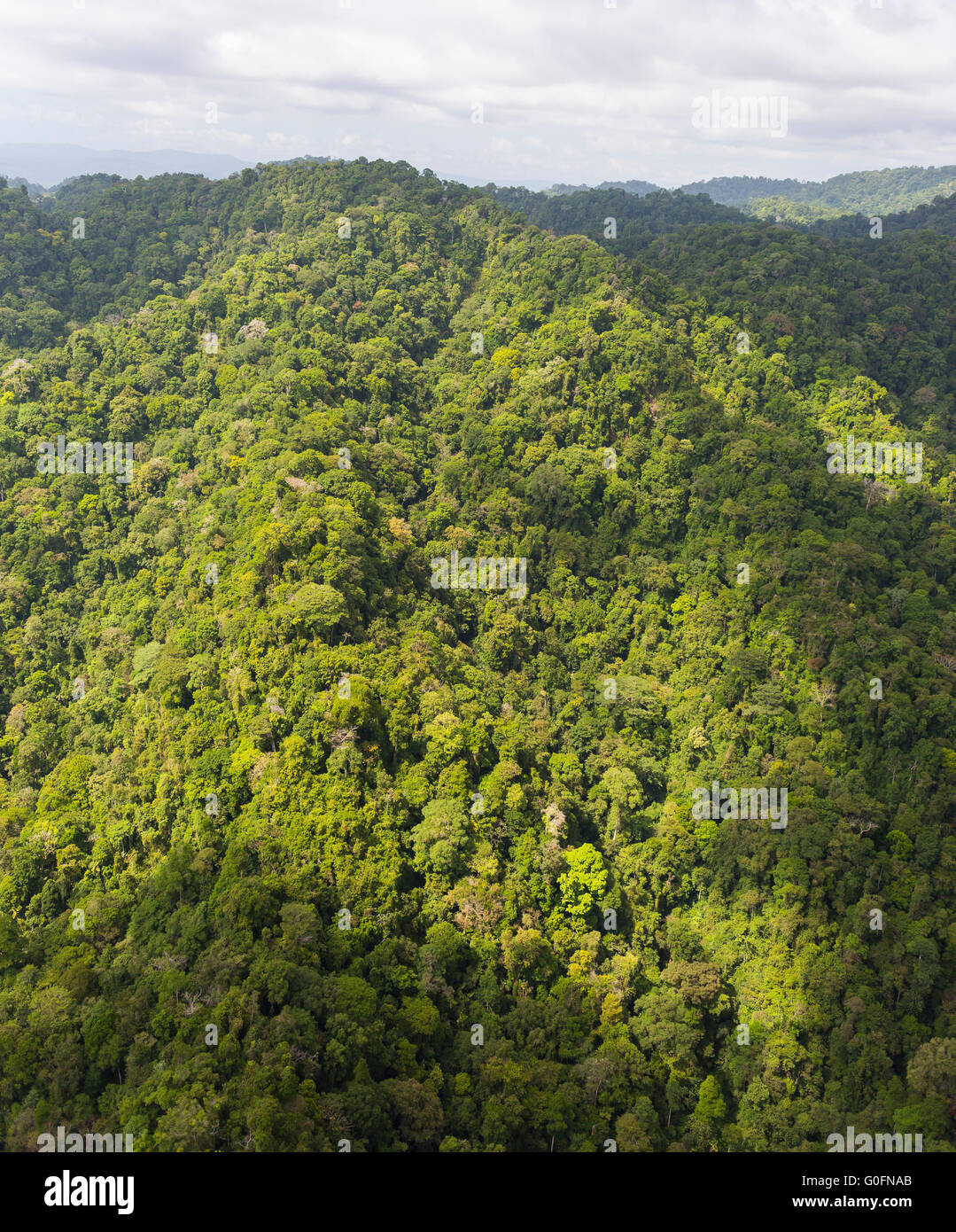 CORCOVADO NATIONAL PARK, COSTA RICA - Aerial of Osa Peninsula rain forest tree canopy. Stock Photo