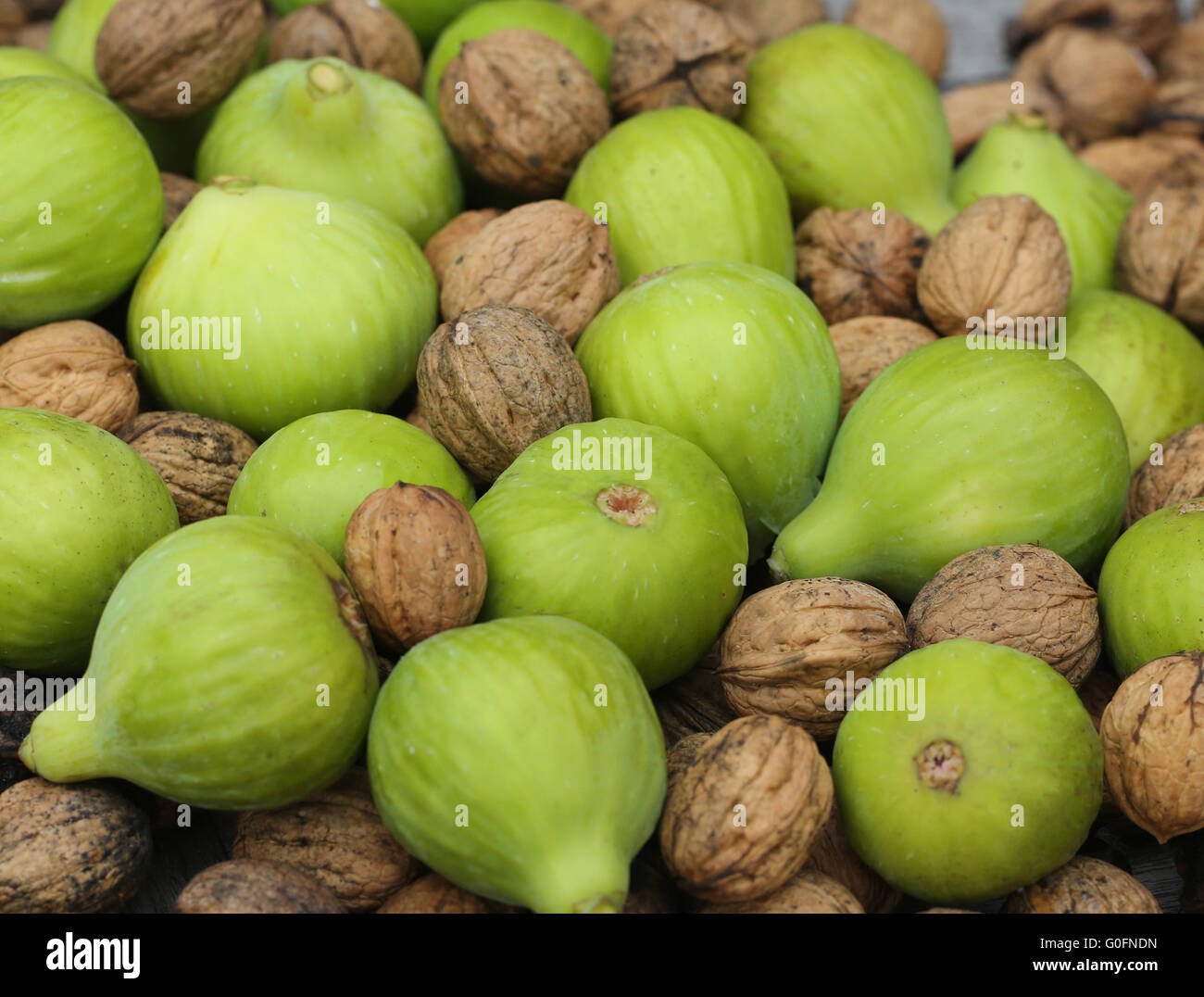 Fig leaf man hires stock photography and images Alamy
