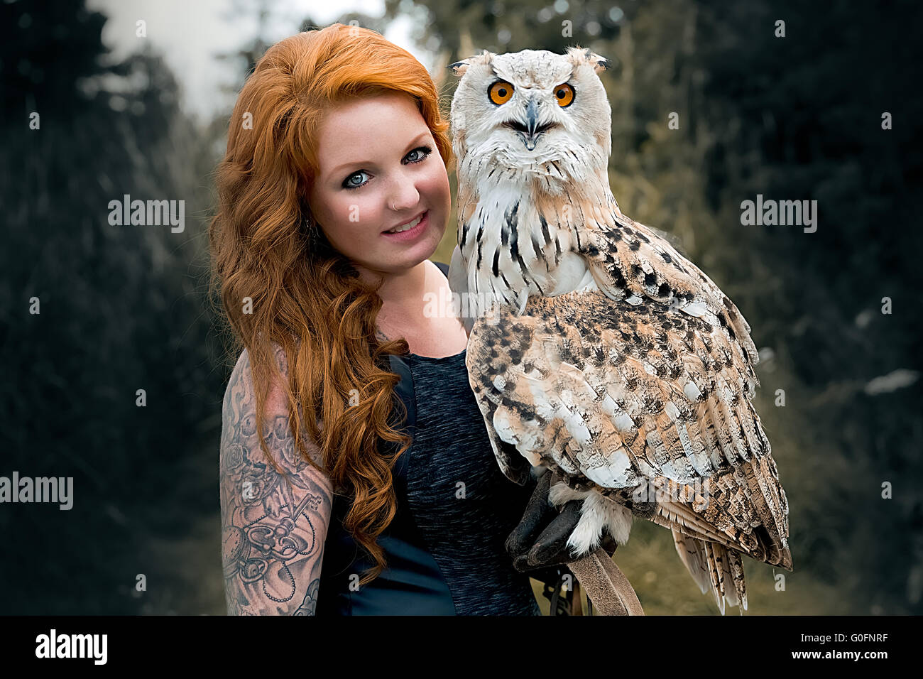 The owl with the lady Stock Photo