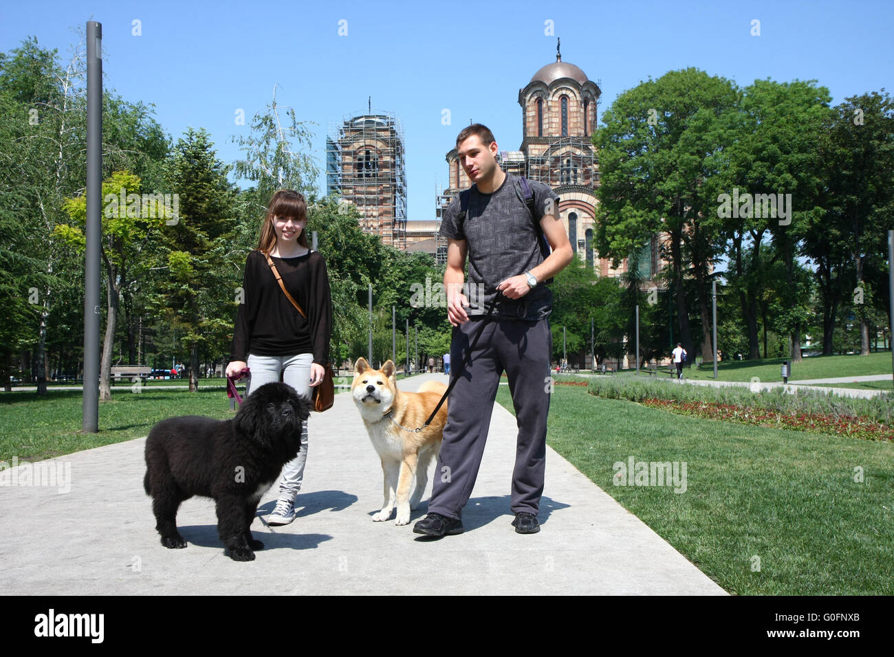 Walking with puppies Stock Photo