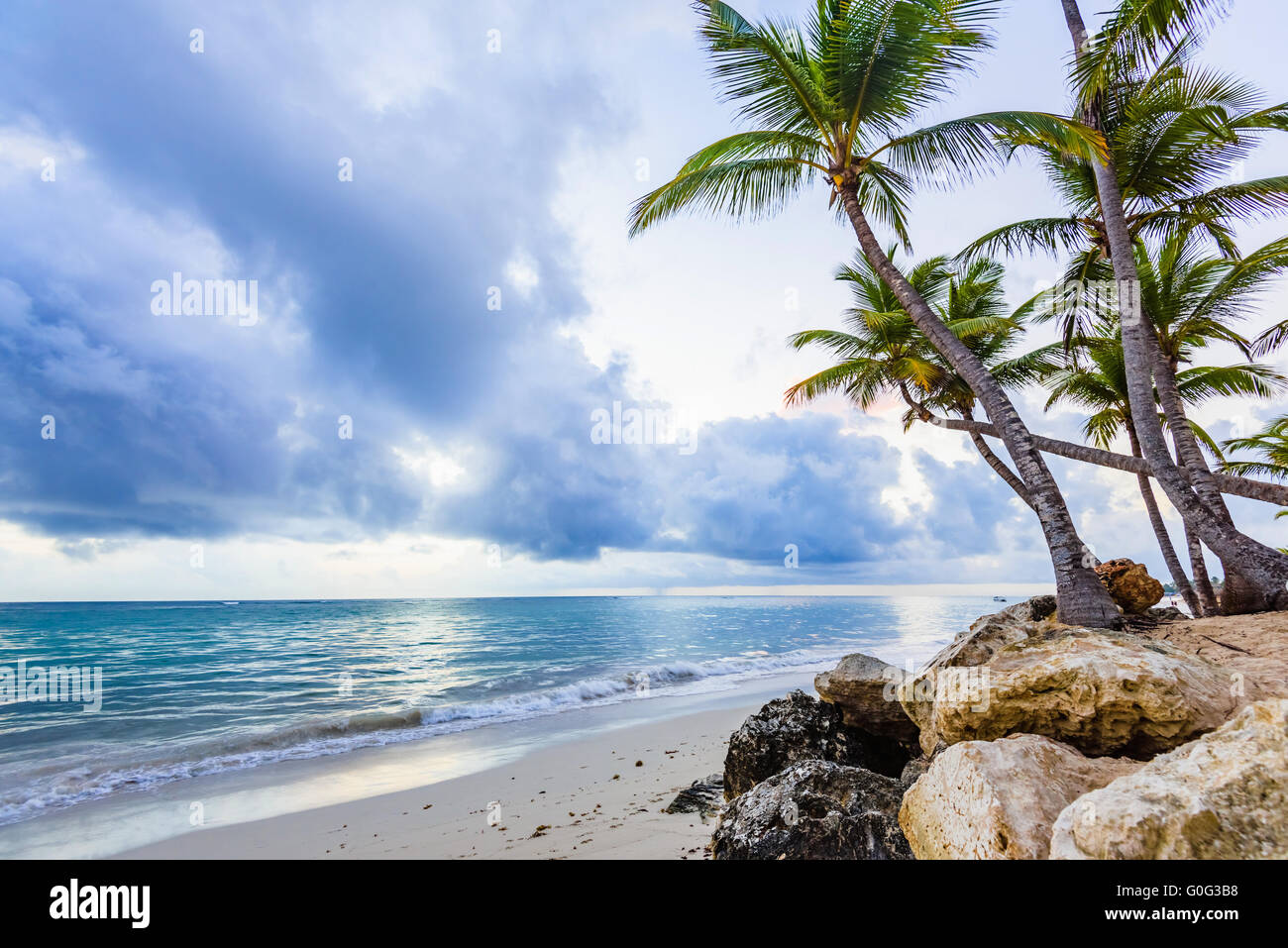 Vaca tropical hi-res stock photography and images - Alamy