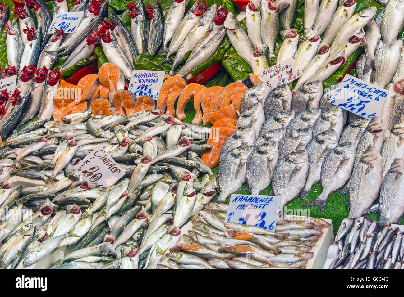 Great choice of fish at a market in Istanbul, Turkey Stock Photo