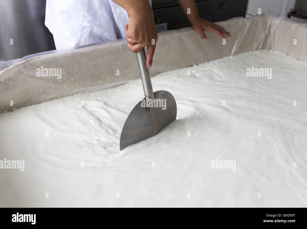 Cheese production creamery dairy worker mixing Stock Photo Alamy