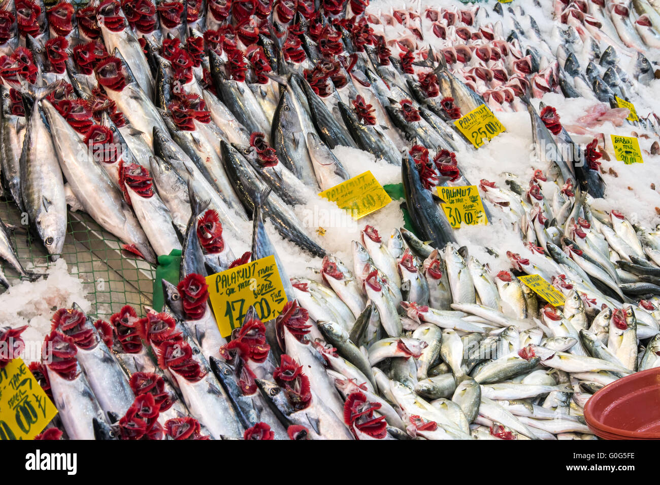 Choice of fish at a market in Istanbul Stock Photo