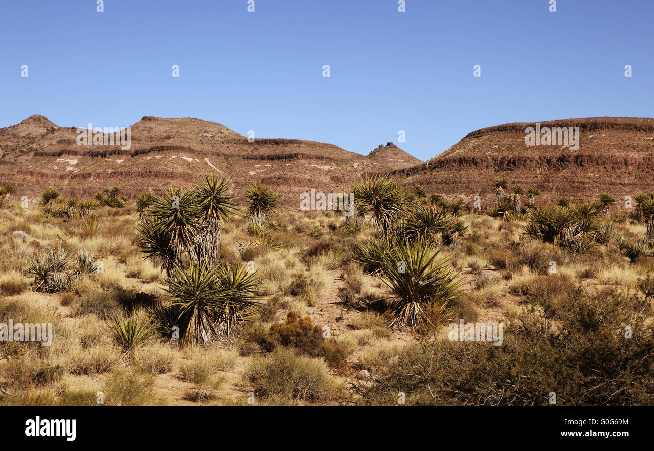 desert in california Stock Photo Alamy