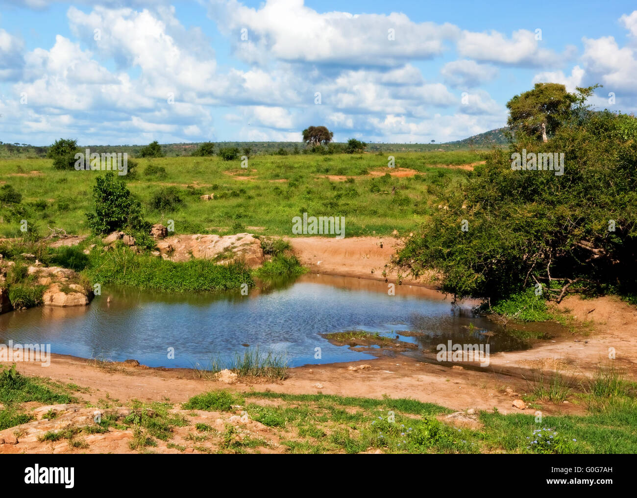 Pond of clear water in bush on savanna in Africa. Landscape of Tsavo West Stock Photo