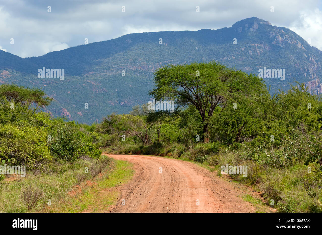Red ground road and bush with savanna landscape in Africa. Tsavo West Stock Photo
