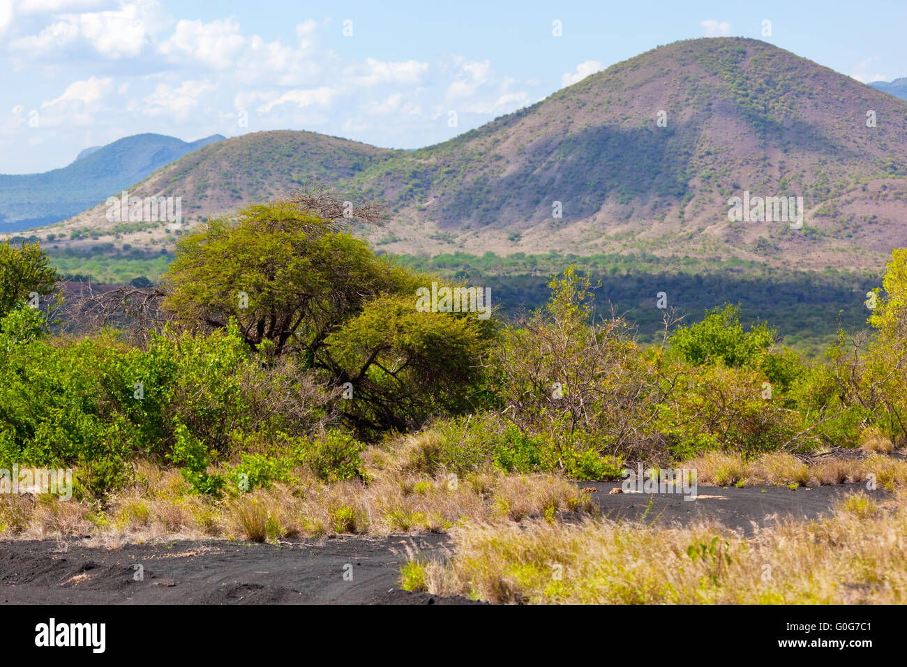 Bush and savanna landscape in Africa. Tsavo West Stock Photo
