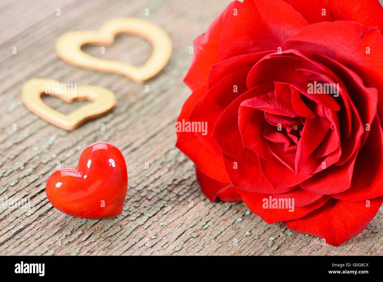 valentines day with red rose and heart in love Stock Photo - Alamy