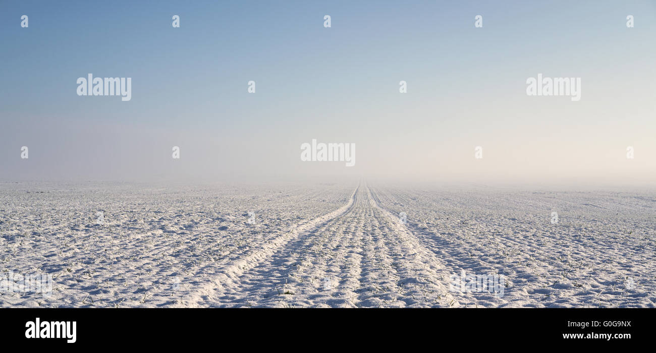 tractor tracks on a field in winter Stock Photo