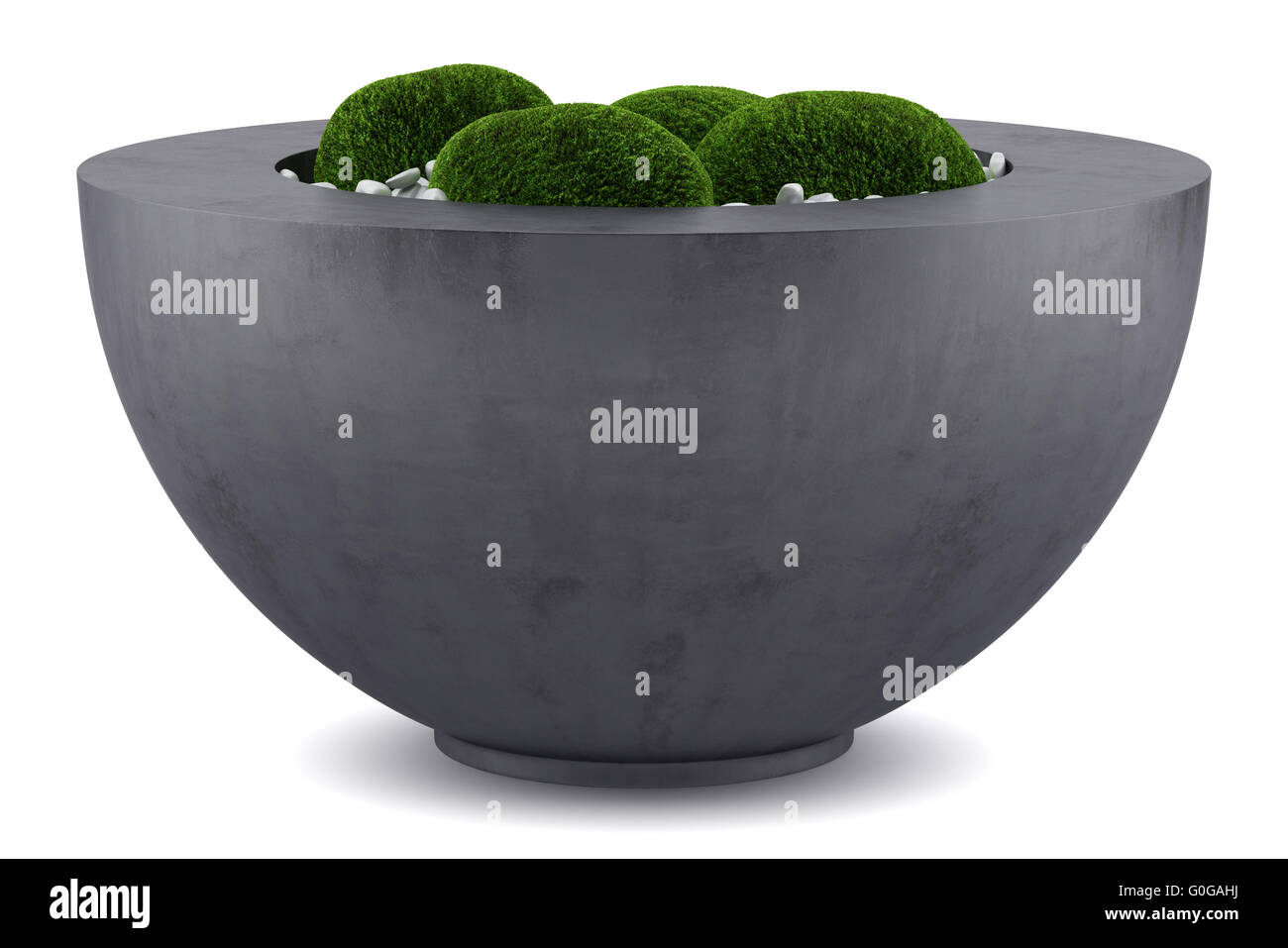 moss pot isolated on white background Stock Photo
