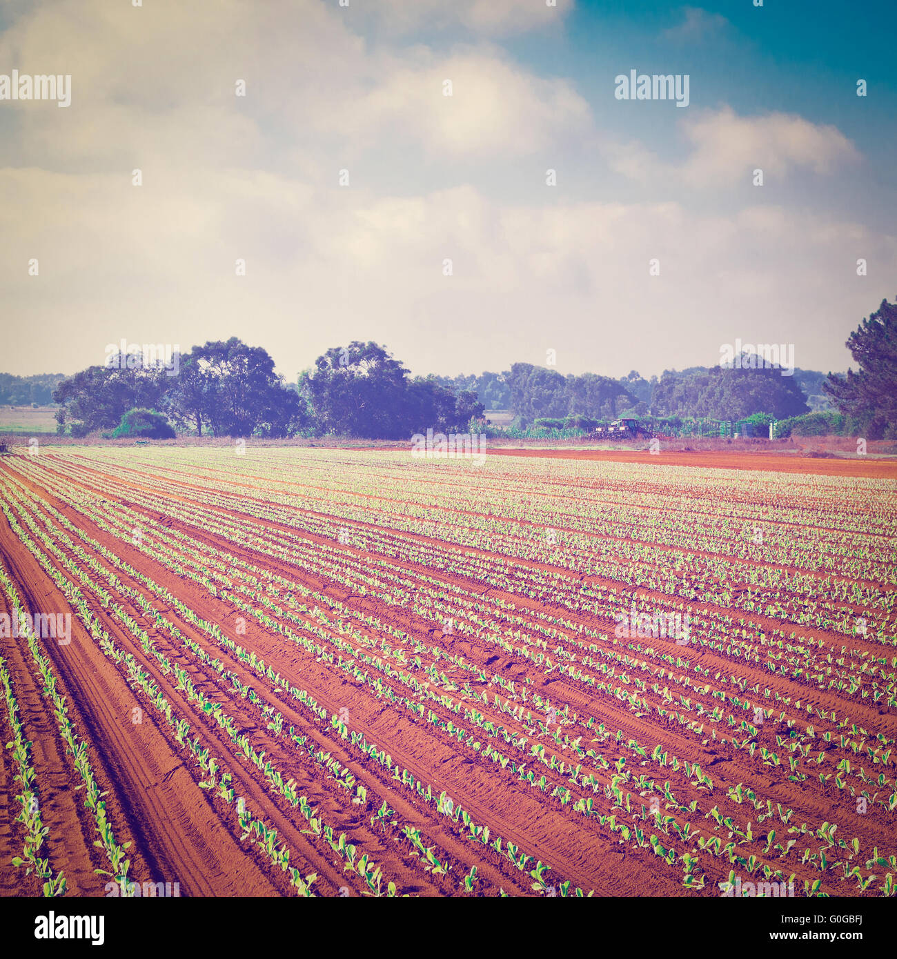 Cultivated landscap hi-res stock photography and images - Alamy