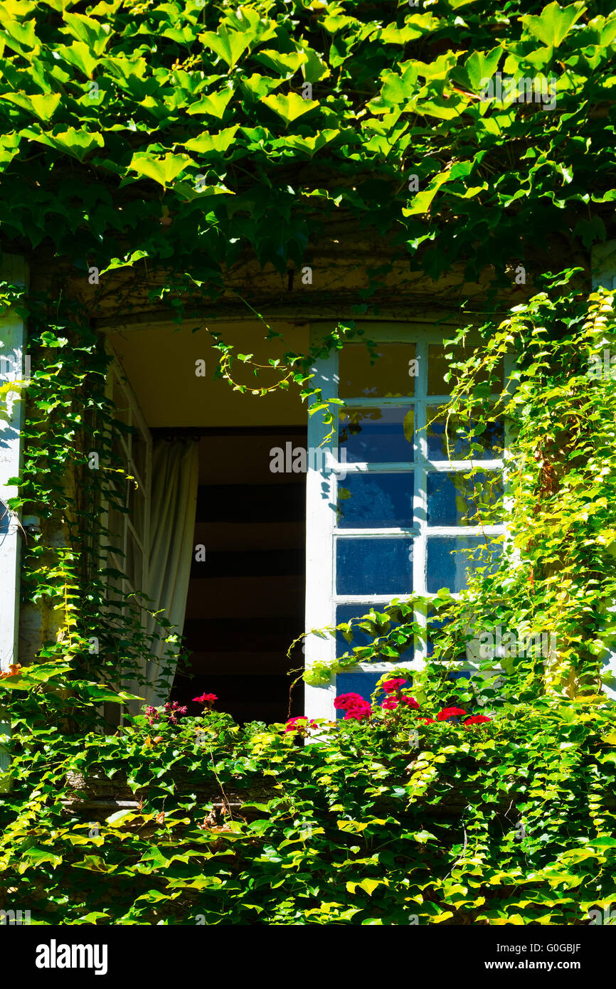 Window Leaf Shutter Leaf shutter hi-res stock photography and images - Alamy