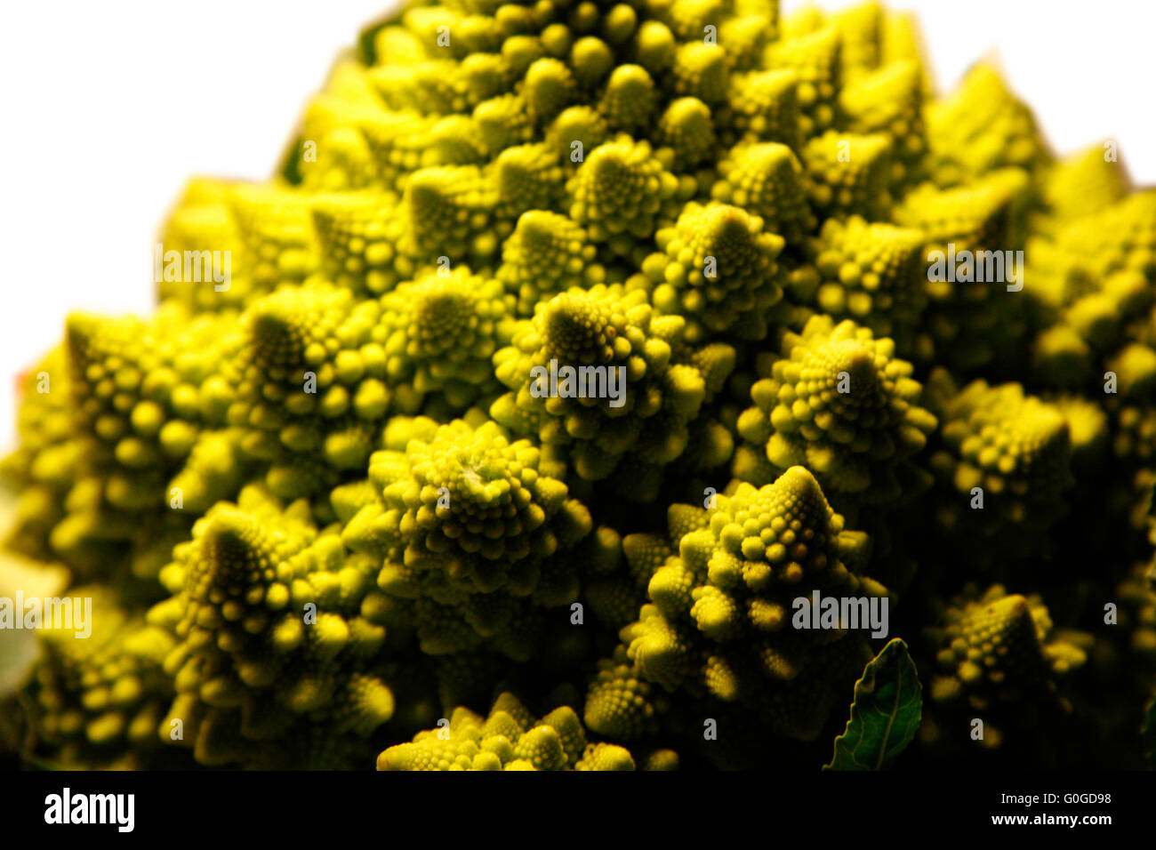 Romanesco Broccoli. Stock Photo