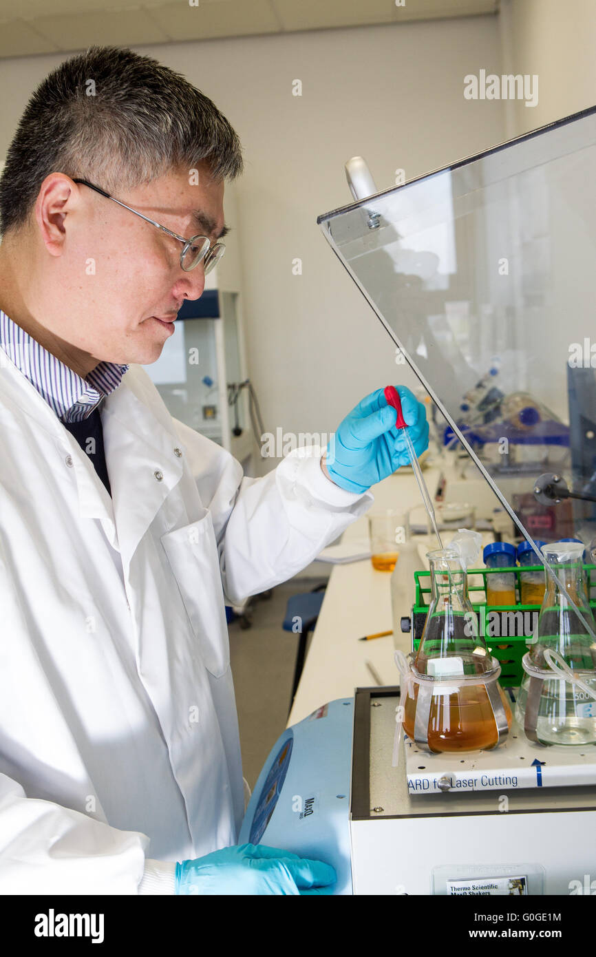 Scientists examining samples Stock Photo