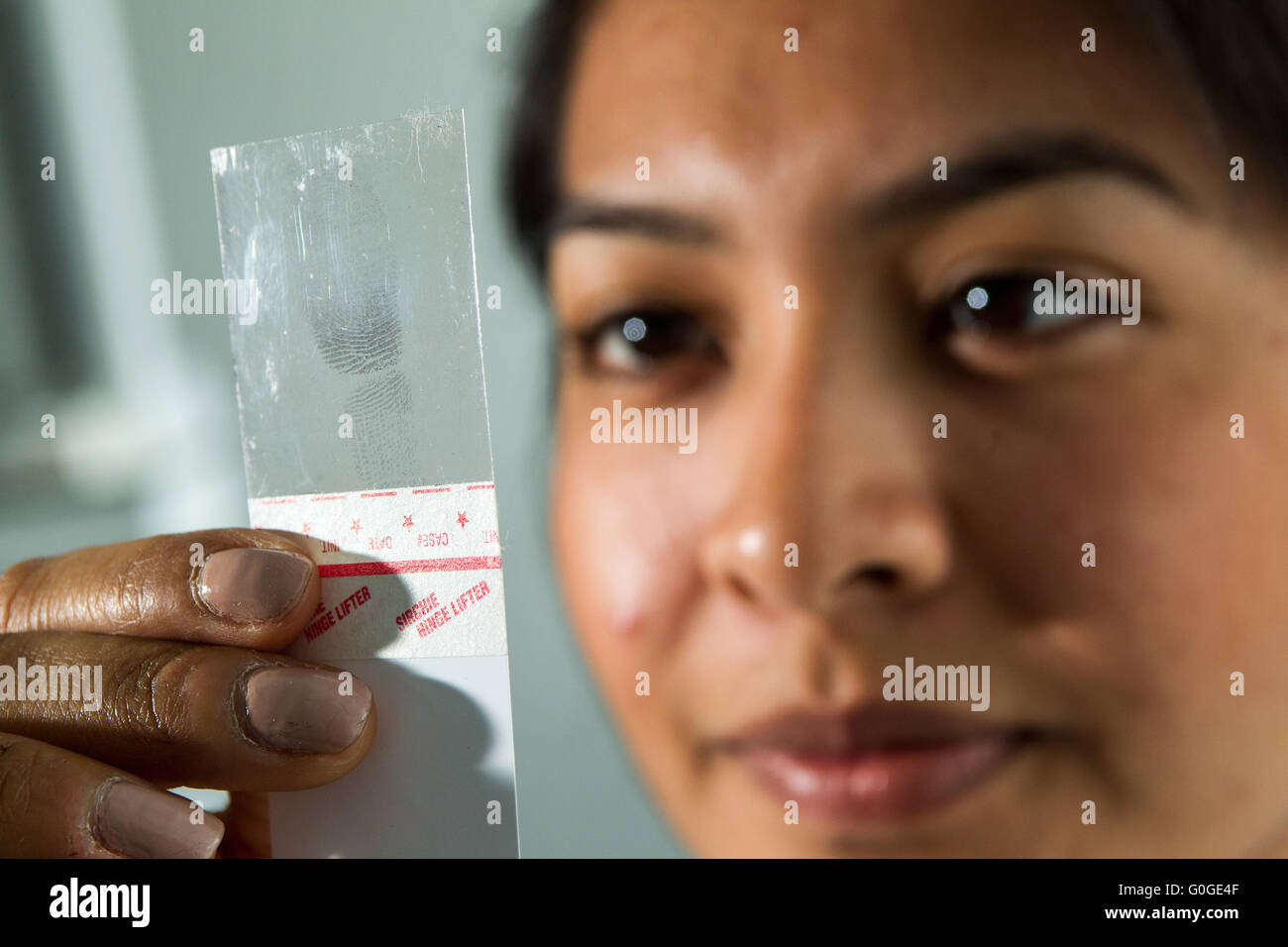Forensic scientist examining fingerprint Stock Photo Alamy