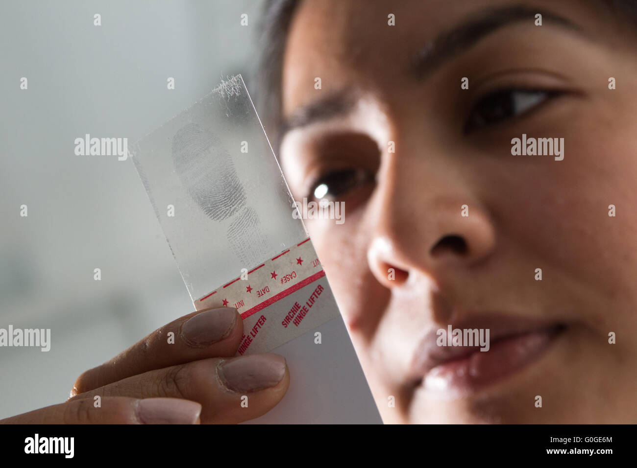Forensic scientist examining fingerprint Stock Photo