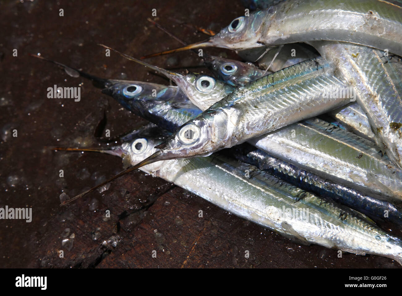 Stacked fish at Stone Town Fish Market Stock Photo - Alamy