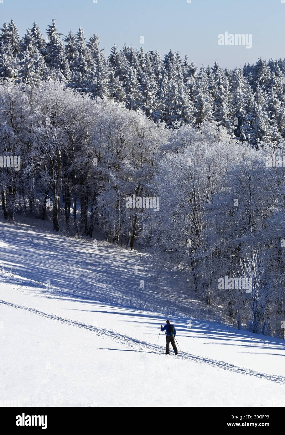 cross-country skiing in snowy landscape of Wildewiese, Germany, North Rhine-Westphalia, Sauerland Stock Photo
