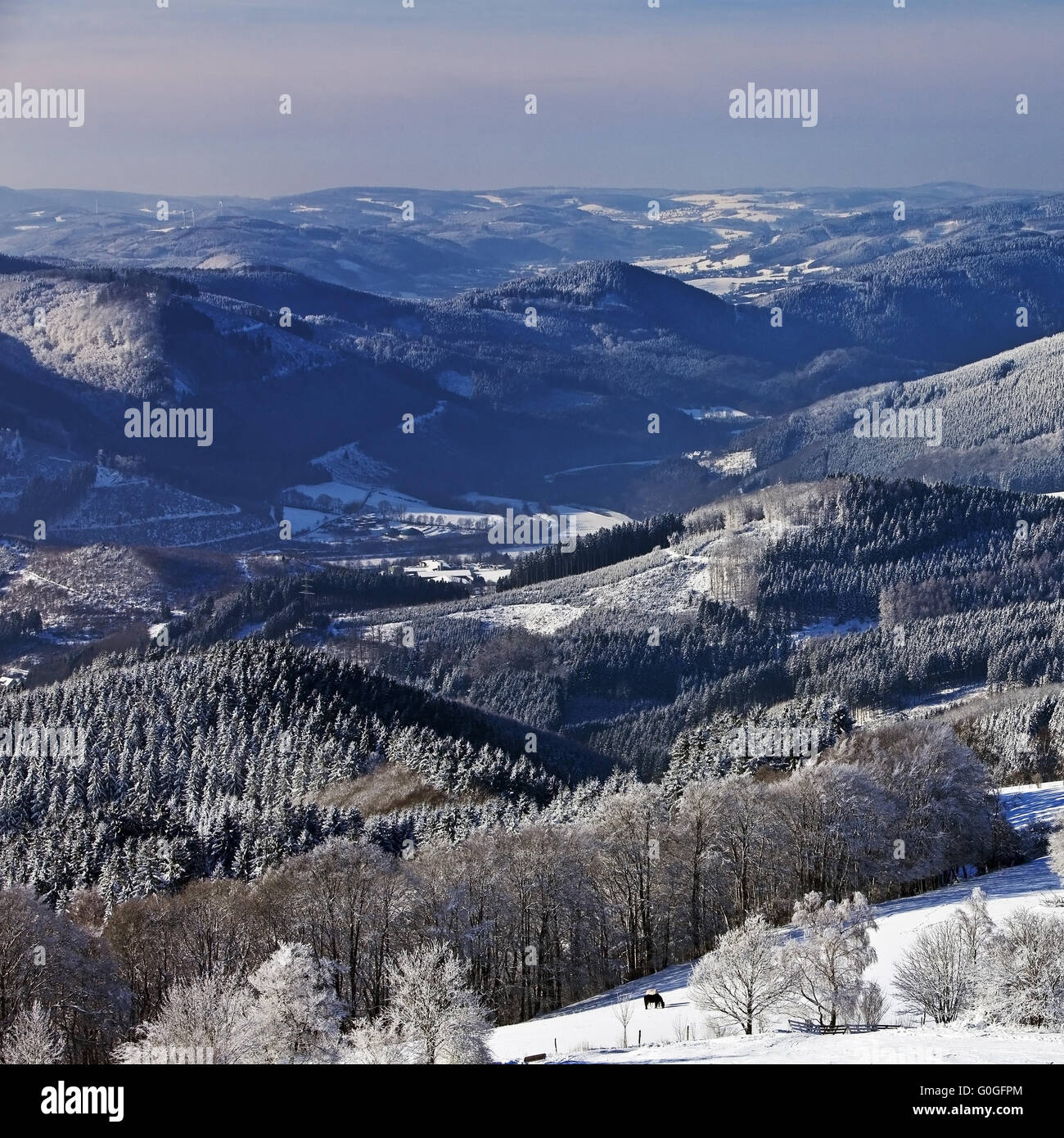 view to low mountain range near wildewiese in winter sundern north rhine westphalia germany stock photo alamy
