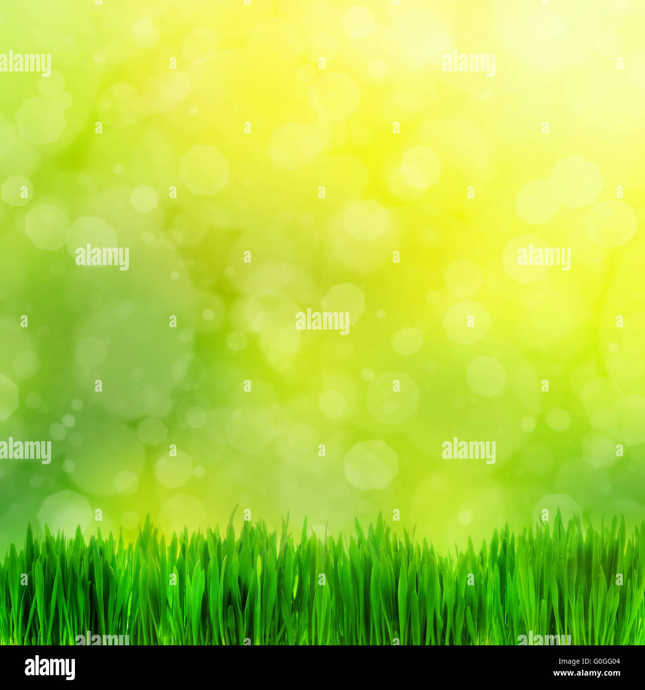 Natural background hi-res stock photography and images - Alamy