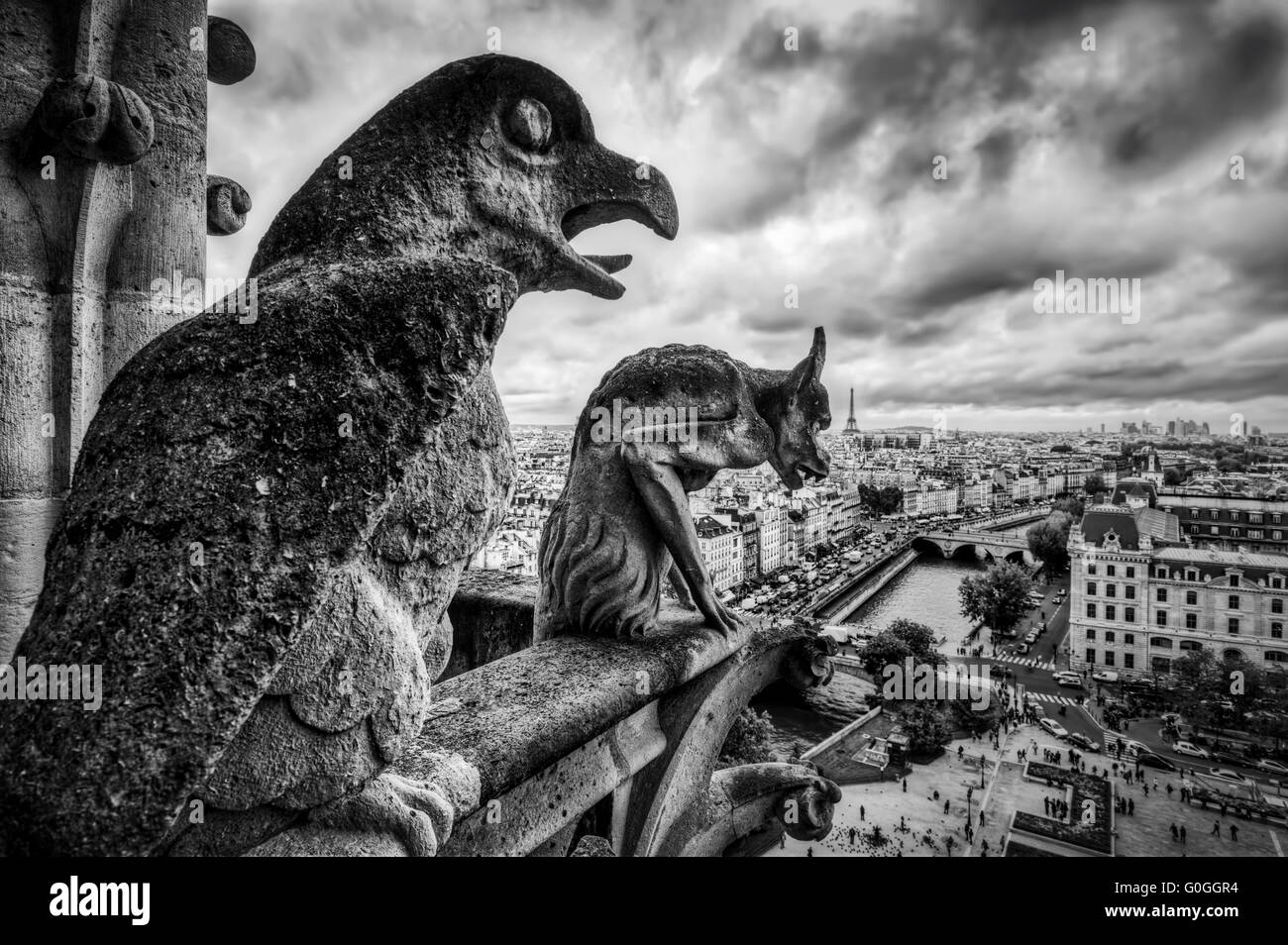 Gargoyles and chimera statues of Notre Dame over Paris, France. Black and white Stock Photo
