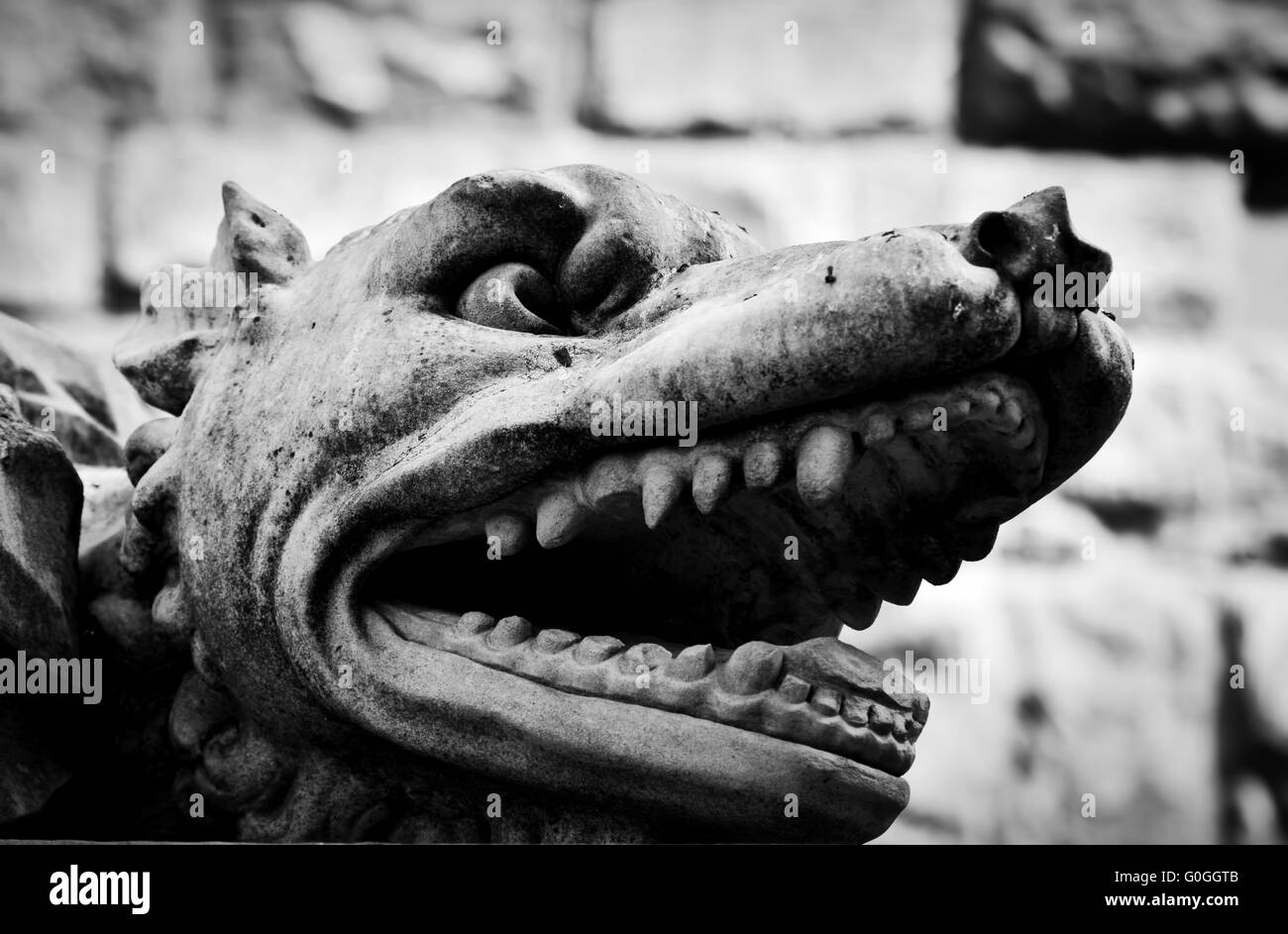 Ancient style sculpture of angry wolf in Florence, Italy. Stock Photo