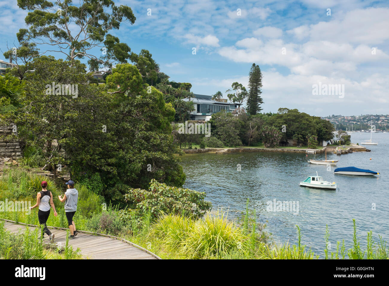 view along the Hermitage Foreshore Scenic Walk, Sydney, NSW, Australia Stock Photo