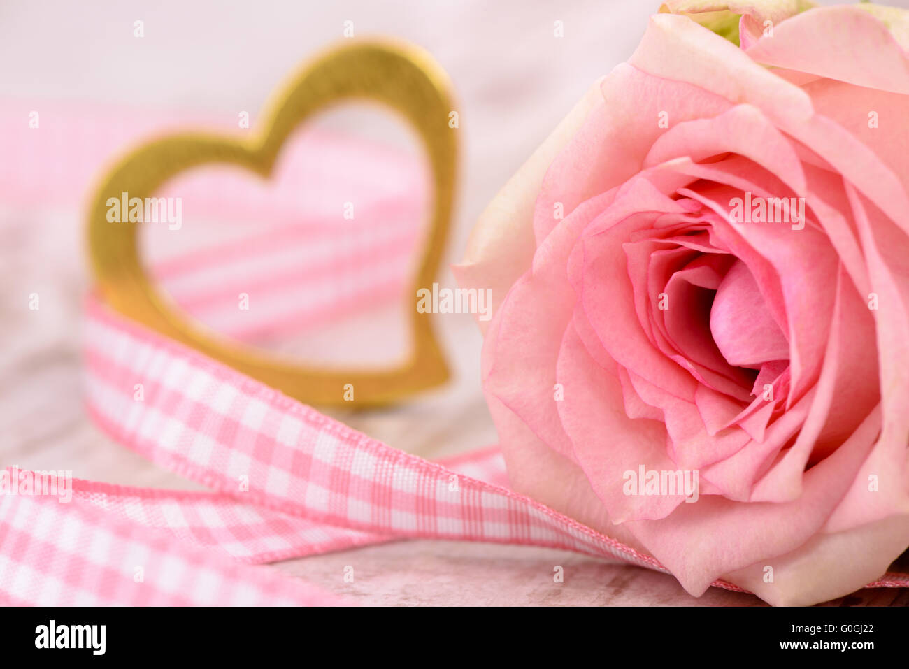 valentines day with red rose and heart in love Stock Photo - Alamy