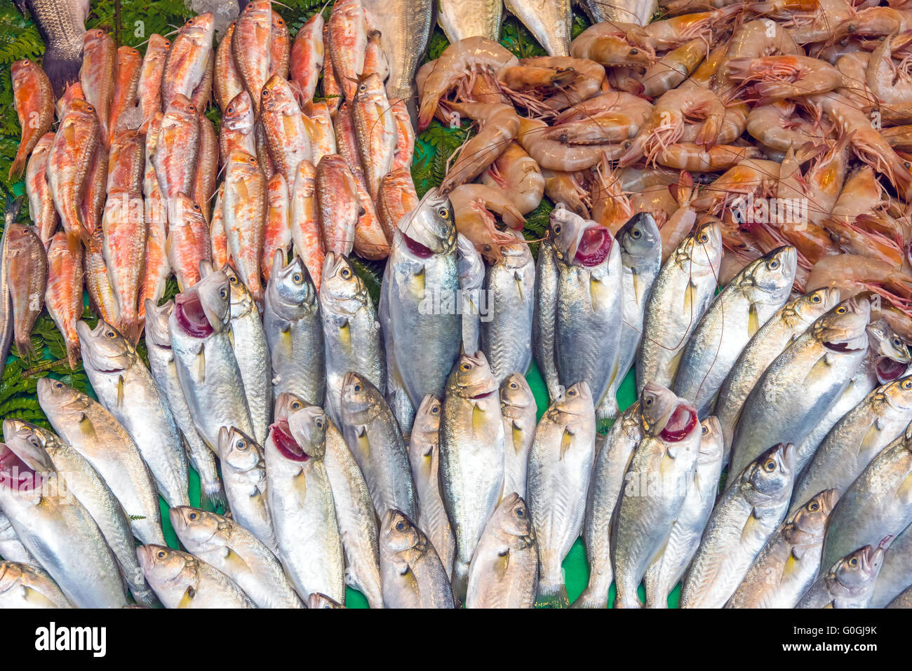 Fresh fish for sale seen at a market in Istanbul Stock Photo