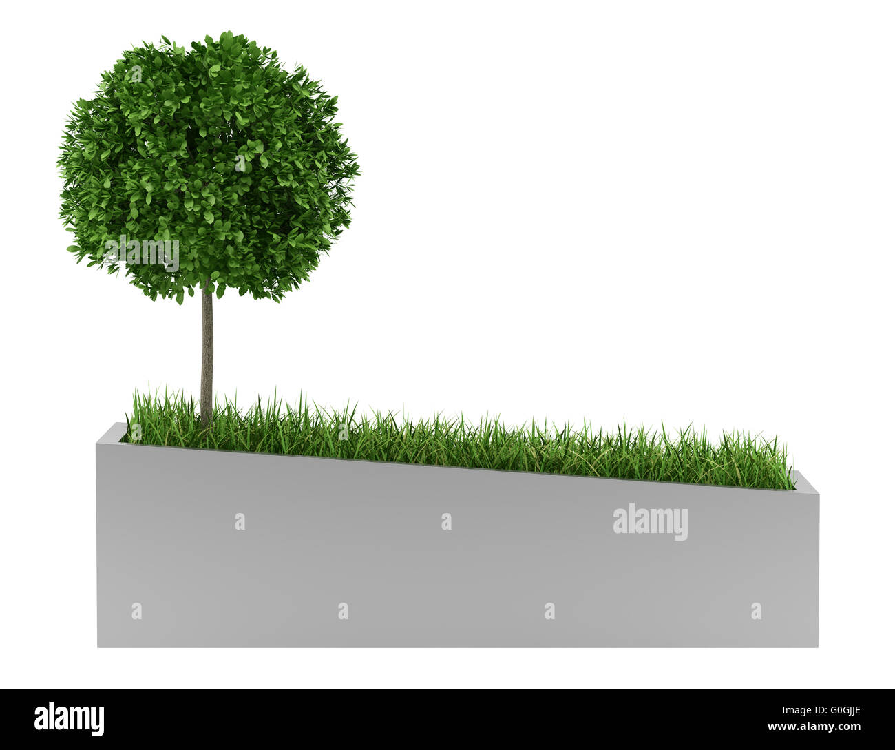 tree and grass in concrete planter isolated on white background Stock Photo