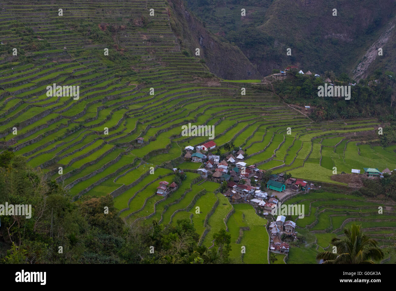 Ancient Rice Terraces of Batad located in the region of Banaue,Cordilleras,Northern Philippines Stock Photo