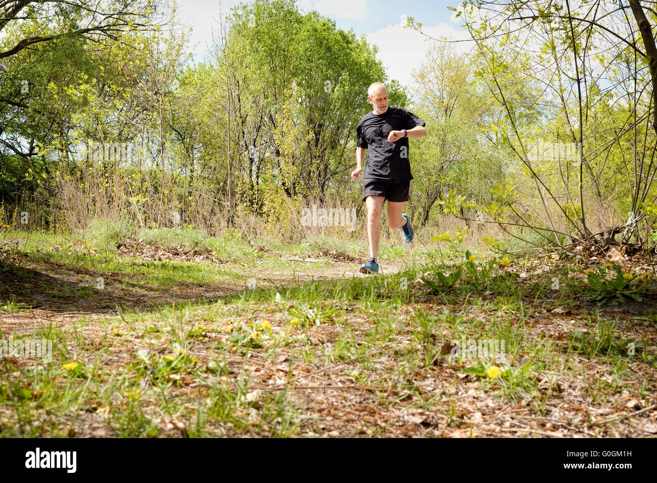 A senior man worn in black is running in the forest, and looks at the time on his stopwatch, during a warm spring day Stock Photo