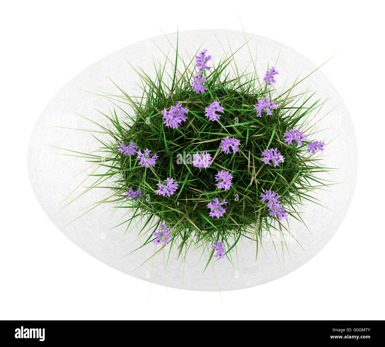 top view of flowers with grass in concrete pot isolated on white background Stock Photo