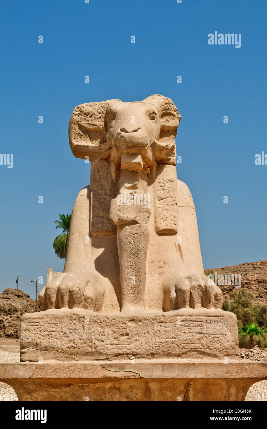 statue of a sphinx with ram's head in Karnak Temple Stock Photo