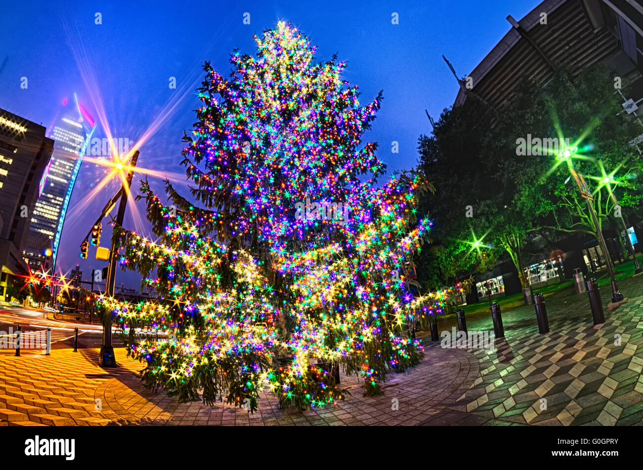 Charlotte nc christmas tree hi-res stock photography and images - Alamy