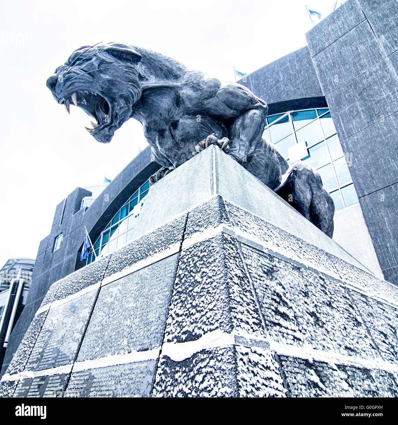 Carolina Panthers Football Stadium Big Cat Statue, Charlotte, NC Editorial  Photo - Image of entrance, league: 203036426