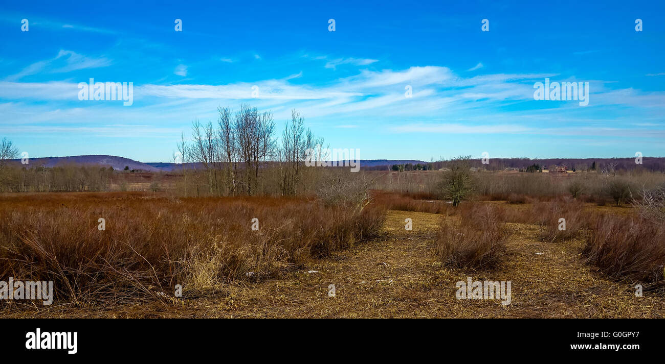 canaan valley west virginia Stock Photo Alamy