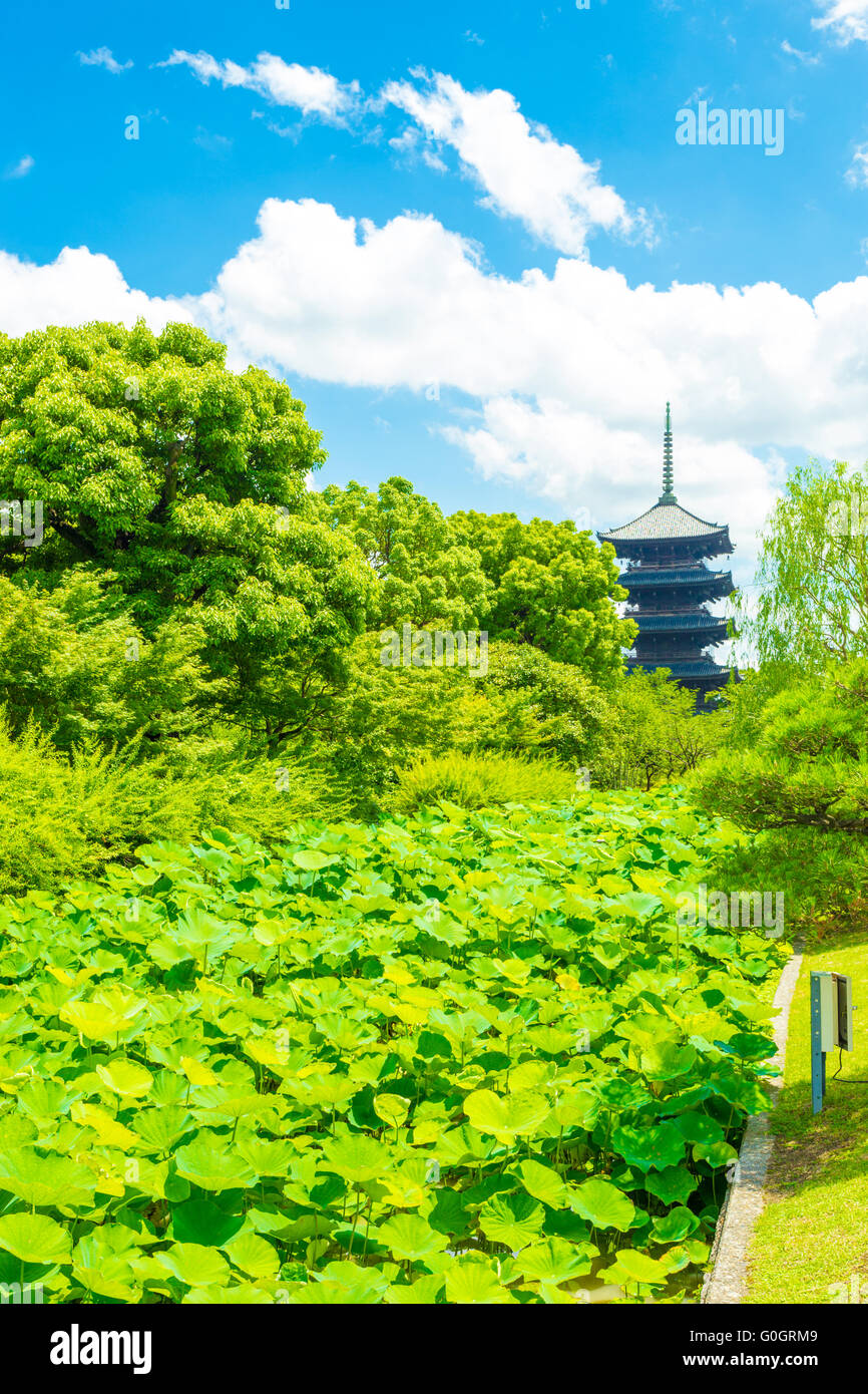 Toji Five Story Pagoda Tower Lilypad Garden Far Stock Photo - Alamy